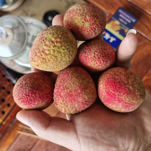 灵山县灵山荔枝