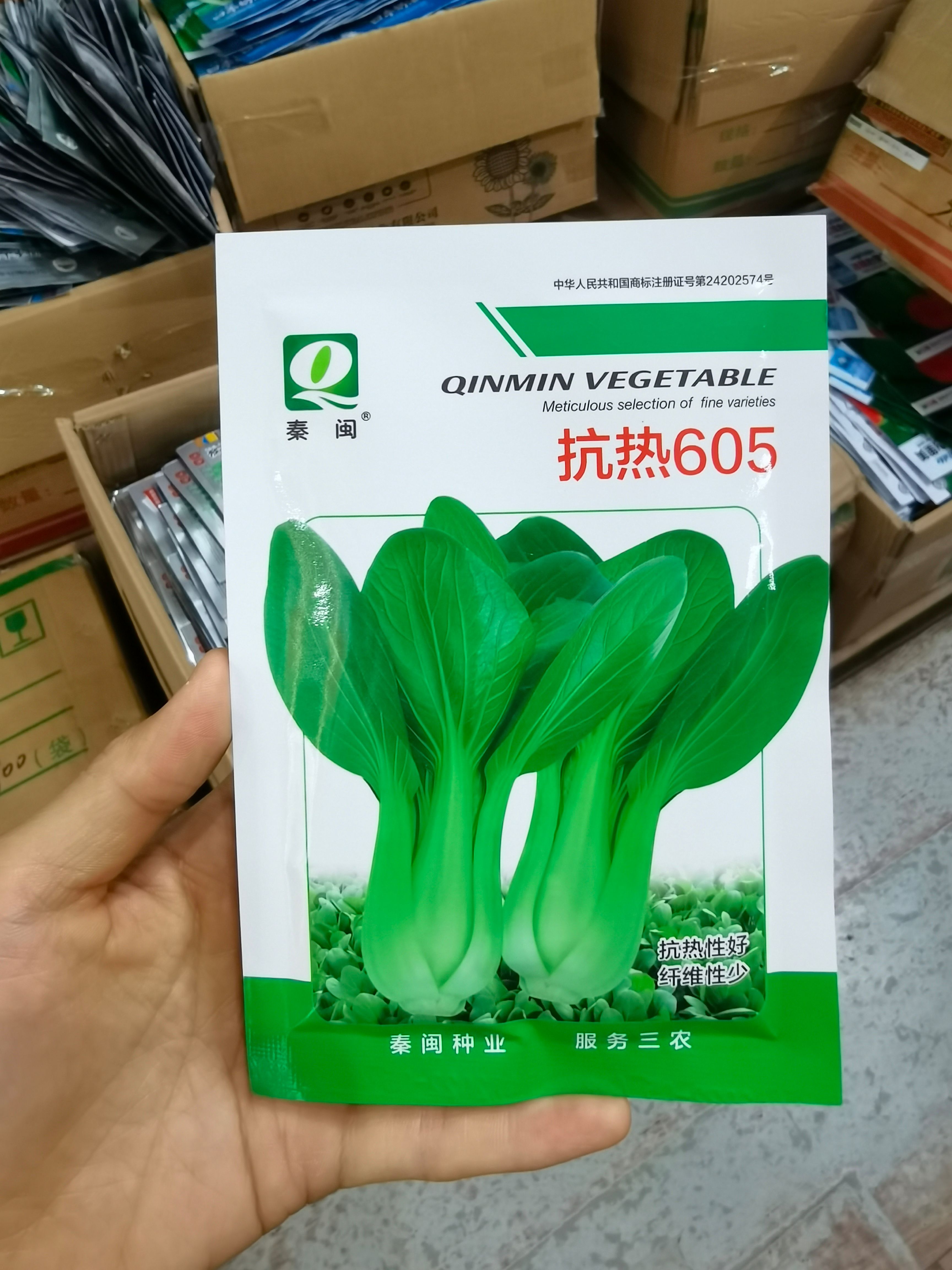 西安上海青种子抗热605青菜种子