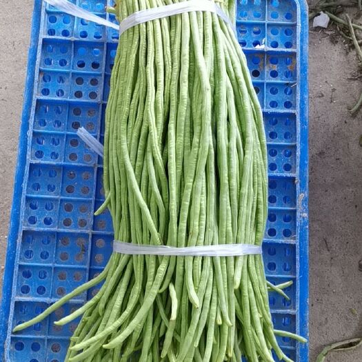 贺州豆角