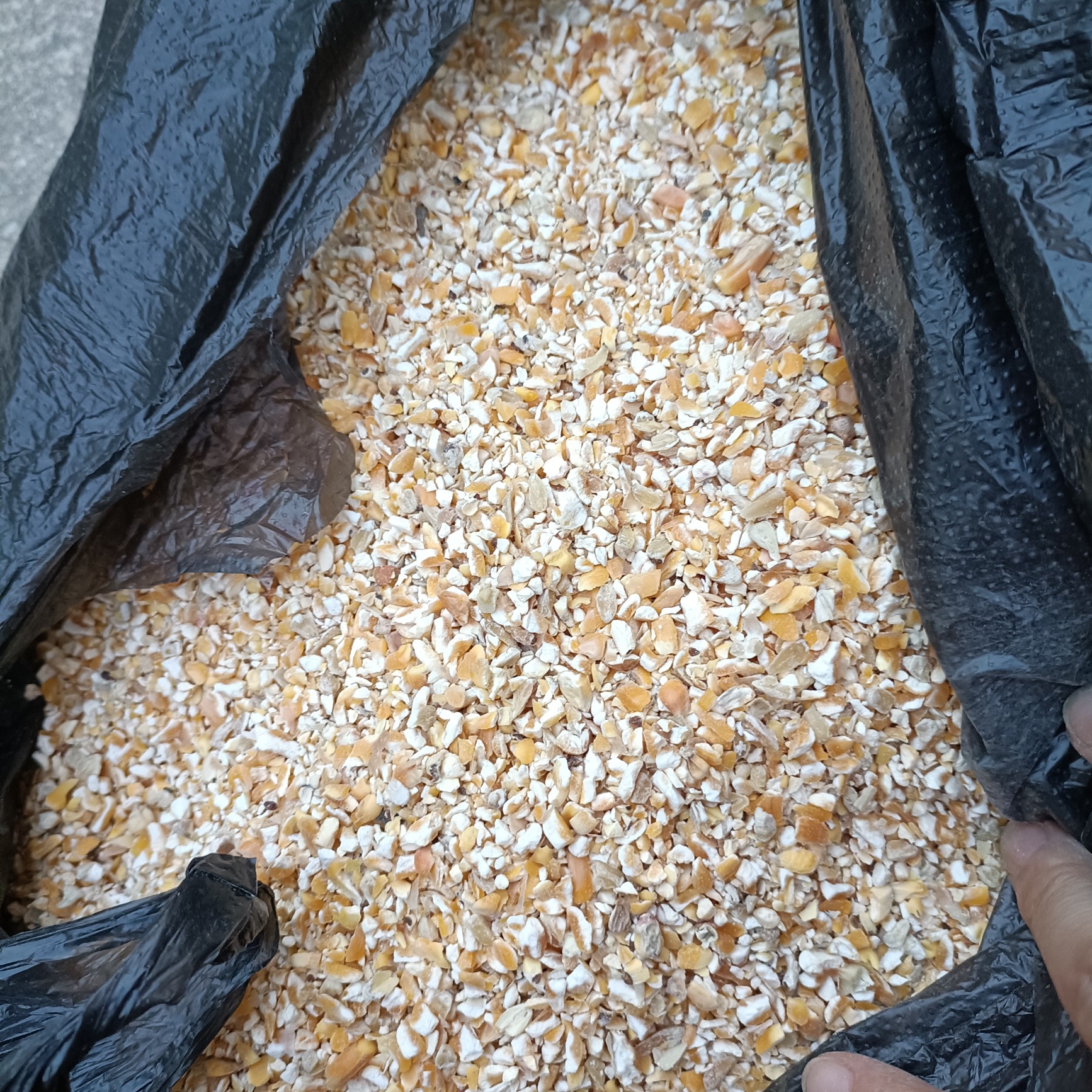 [玉米渣批发]广东玉米碎,碎玉米,玉米下脚料,饲料原材料,玉米,饲料
