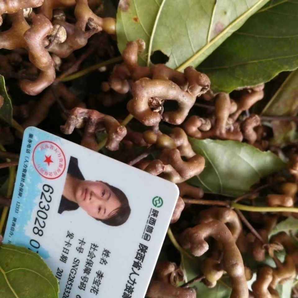 三秦月月農(nóng)產(chǎn)品店