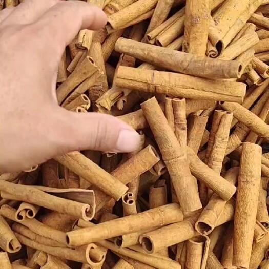 防城港广西防城桂皮味道香辣。