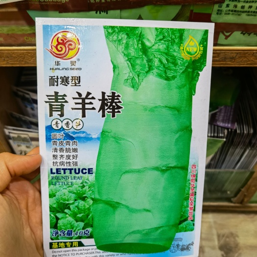 西安耐寒型莴笋种子  青羊棒莴笋种子 耐寒莴笋品种