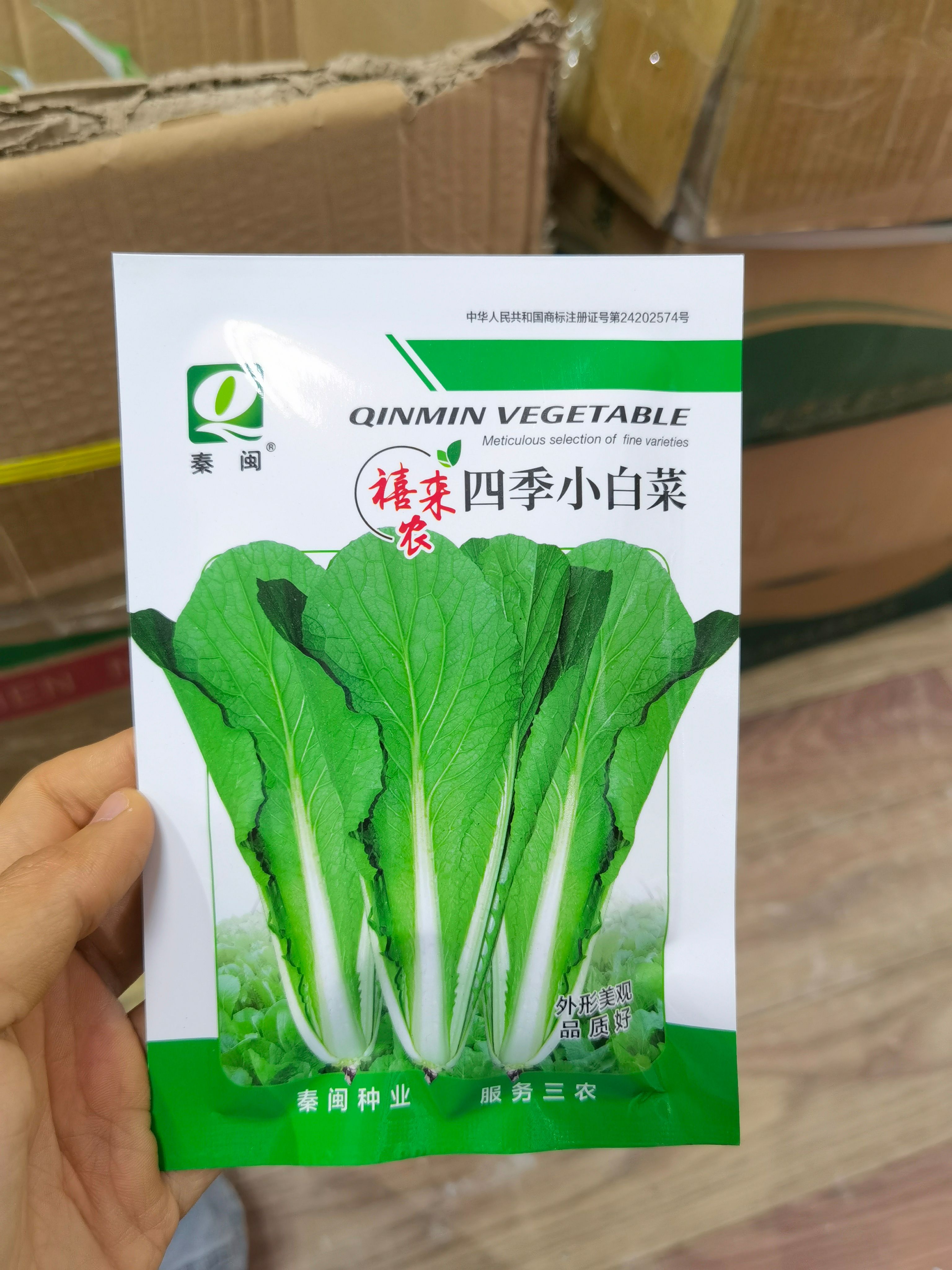 西安小白菜种子青菜种籽室内四季盆栽菜籽庭院种植春季蔬菜种子孑