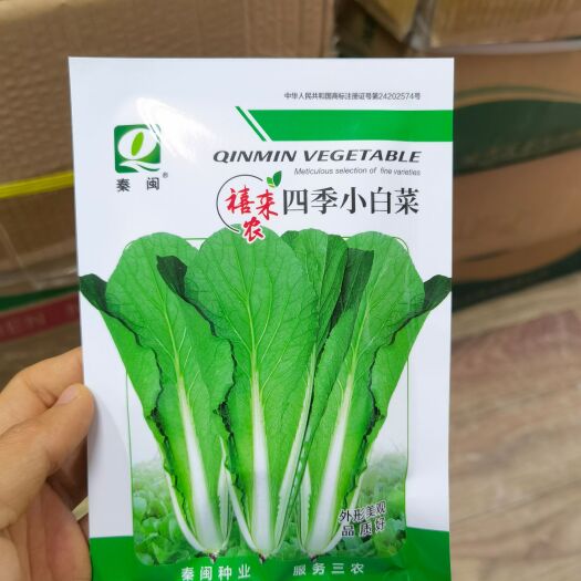 小白菜种子青菜种籽室内四季盆栽菜籽庭院种植春季蔬菜种子孑