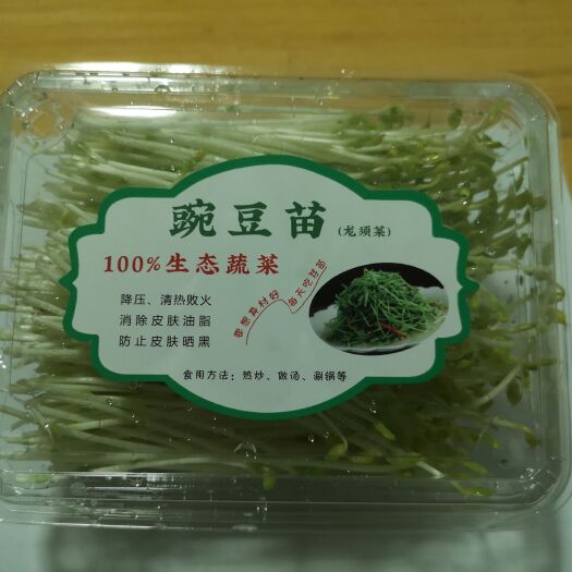 郓城县自产自销精品花生芽、豌豆苗，大量批发，量大价格优惠