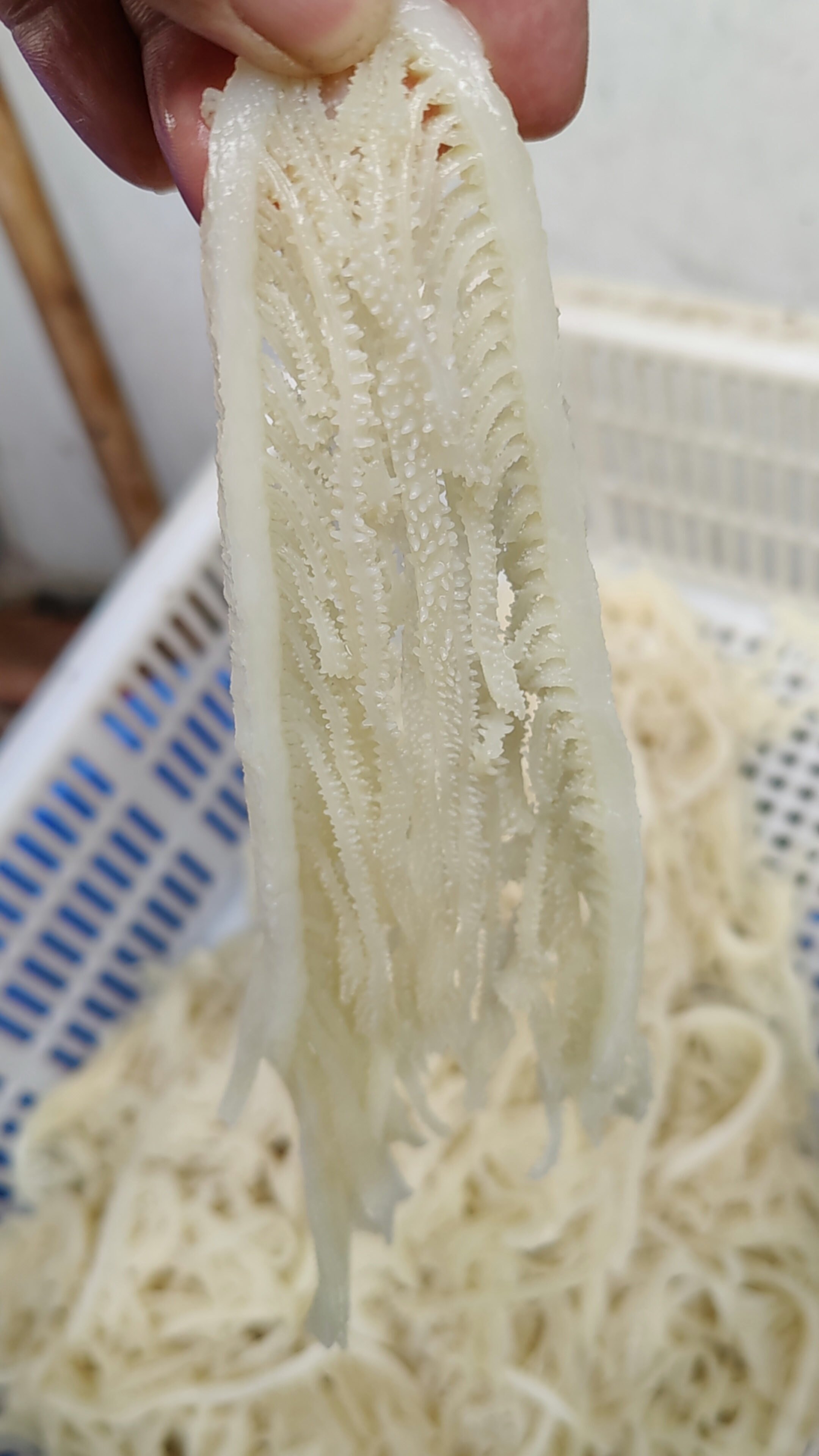 隔壁老王家毛肚店