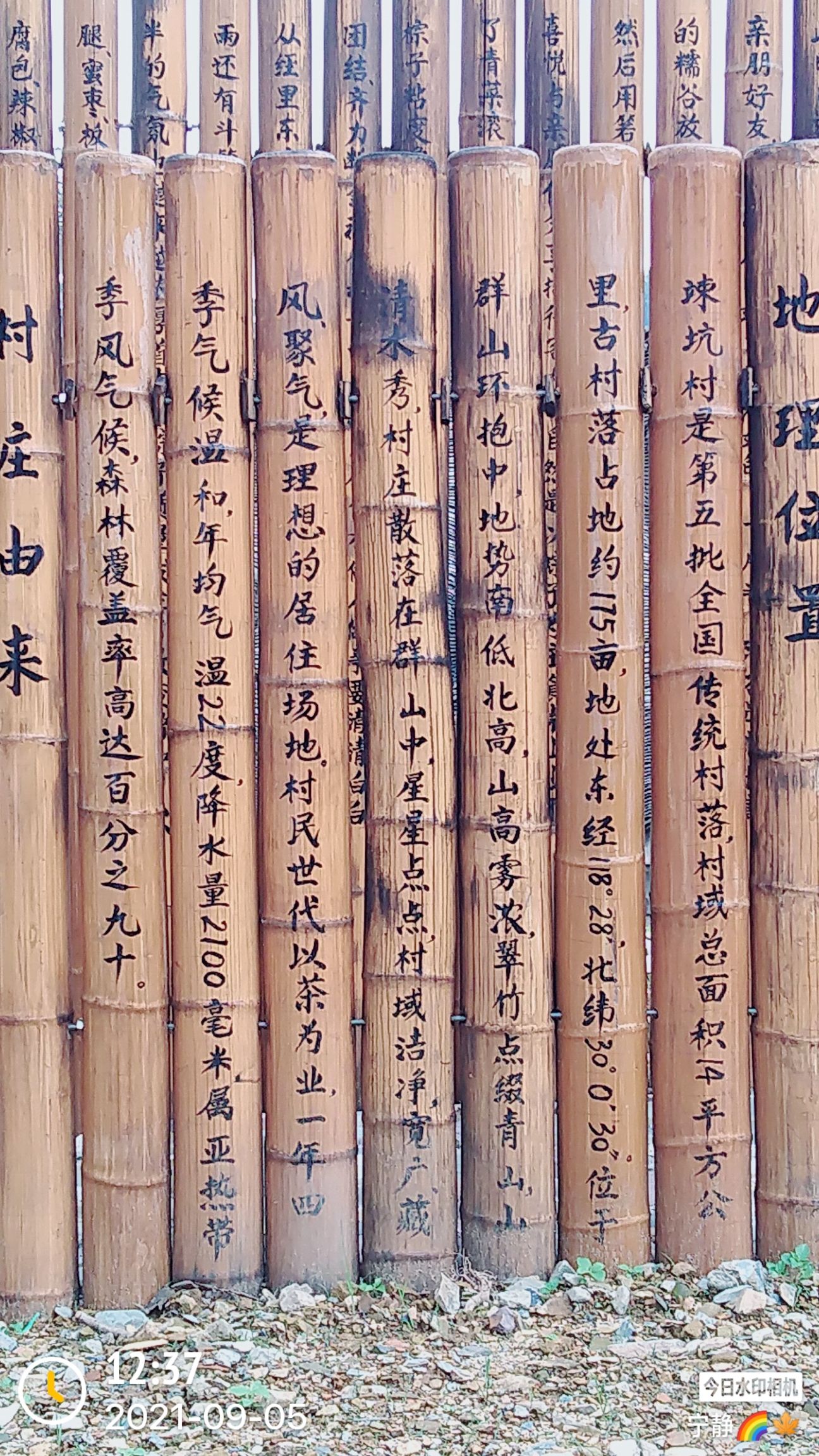 滴水香一级袋装500克