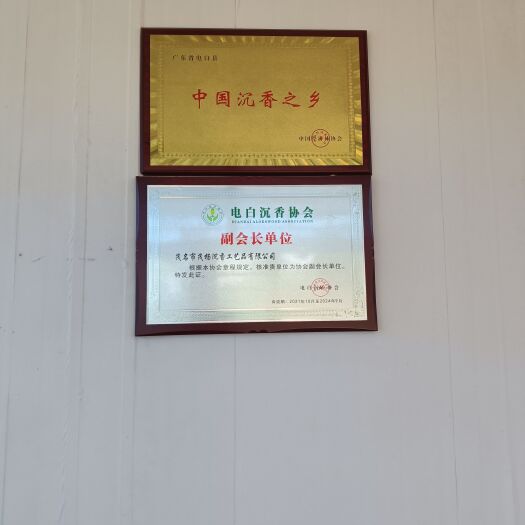 正宗奇楠苗