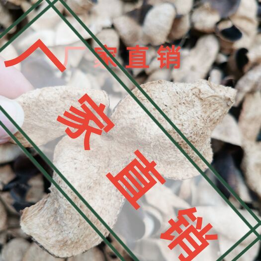 广州【推荐】新会陈皮，厂家直销，量大价格从优哦！欢迎来电咨询！