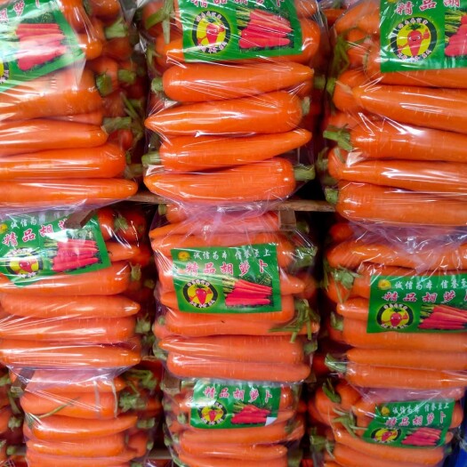 开封精品胡萝卜
