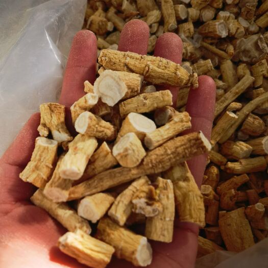 威海山东软枝西洋参，皂苷含量高，可打粉