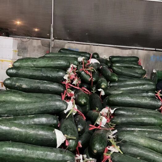 南宁精品黑皮冬瓜