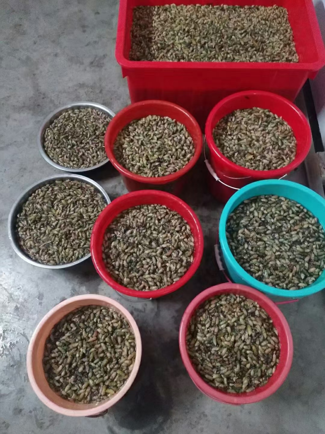 百味珍農(nóng)家店