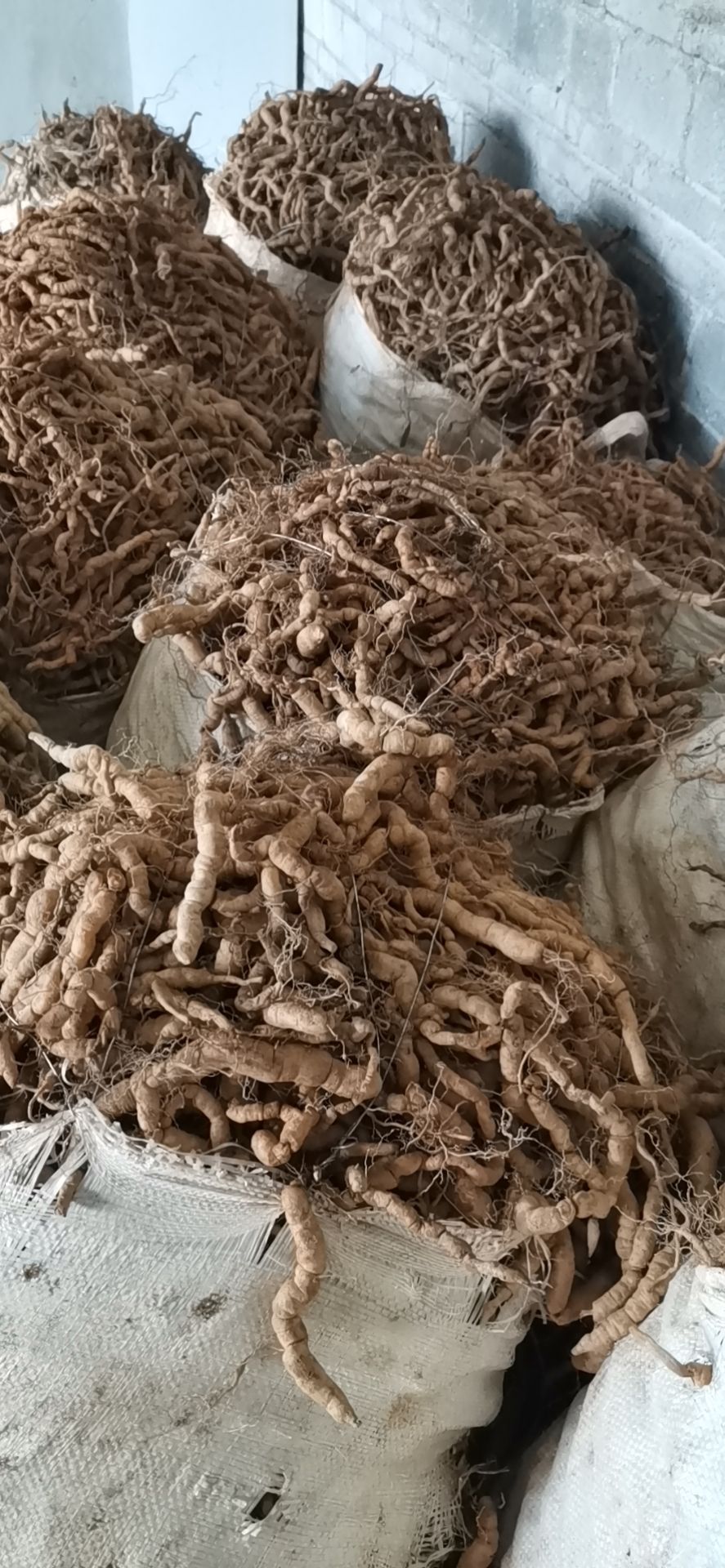 巴戟天，鲜靓货，数量不多，受天气影响，下单前可先沟通好