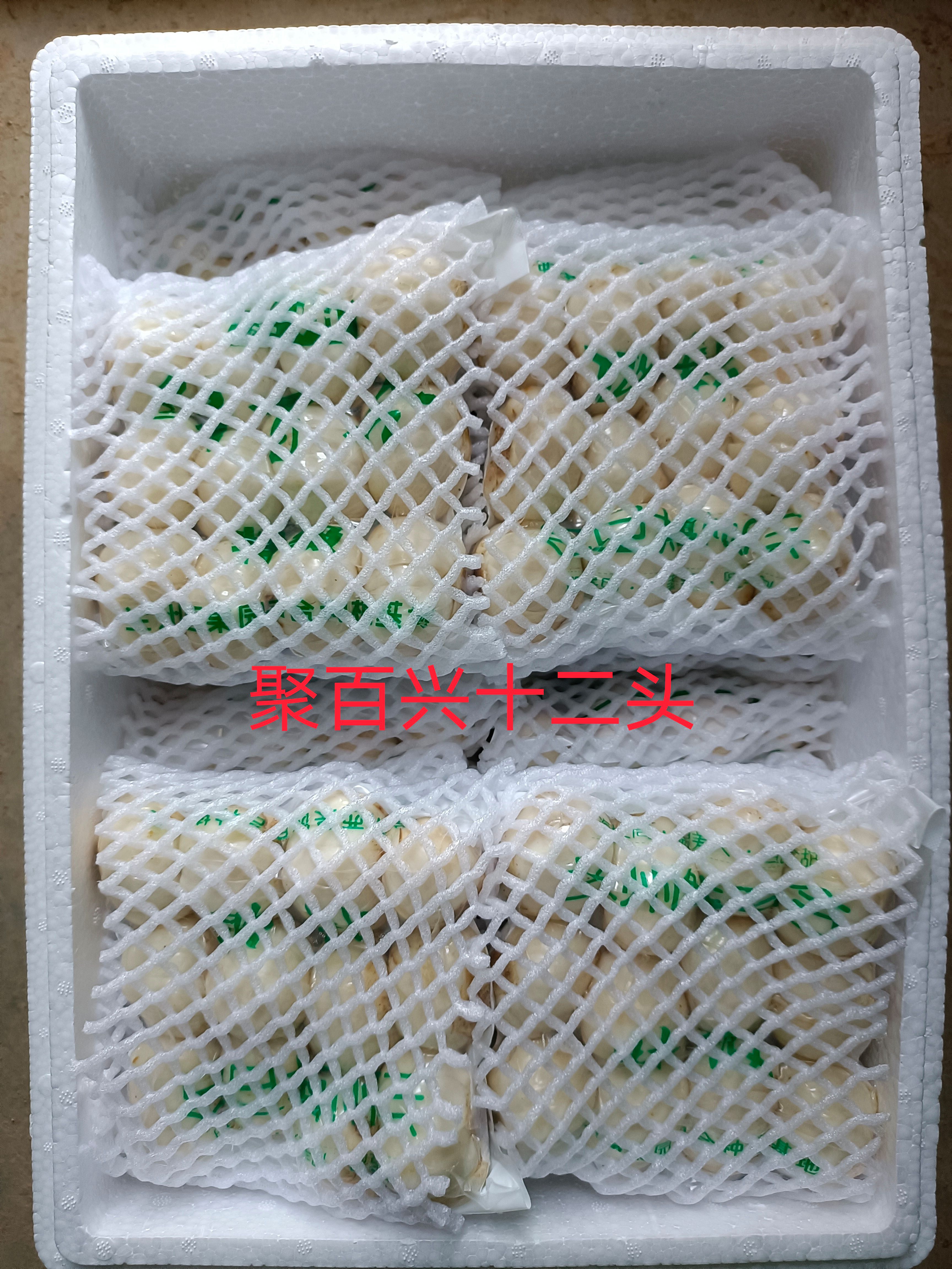 兰州【精品】兰州鲜百合精品12个一斤装，物美价廉，欢迎下单