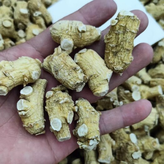 广州粒粒精选软支西洋参粒头7克10克
