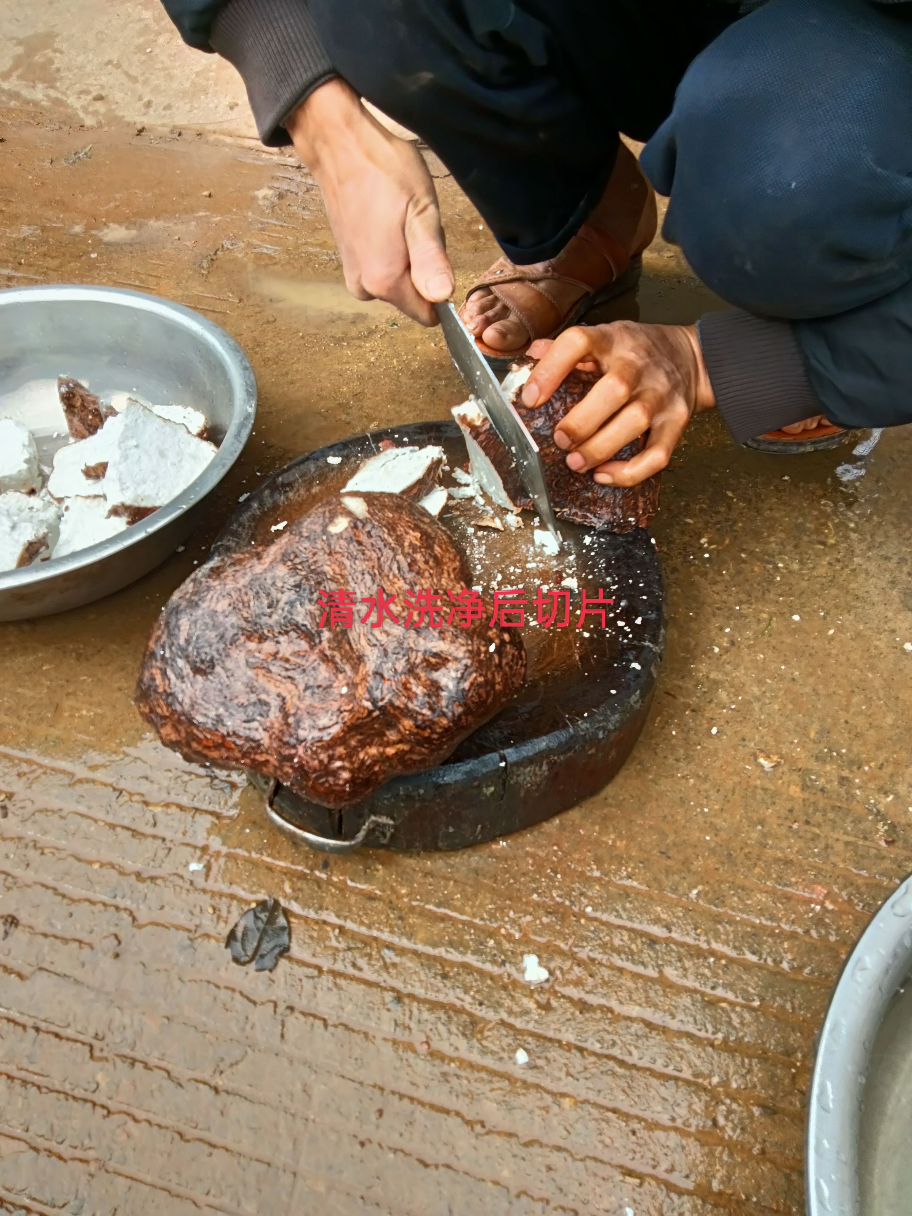 云南带皮白茯苓干货，无硫磺支持无硫检测欢迎广大客户下单