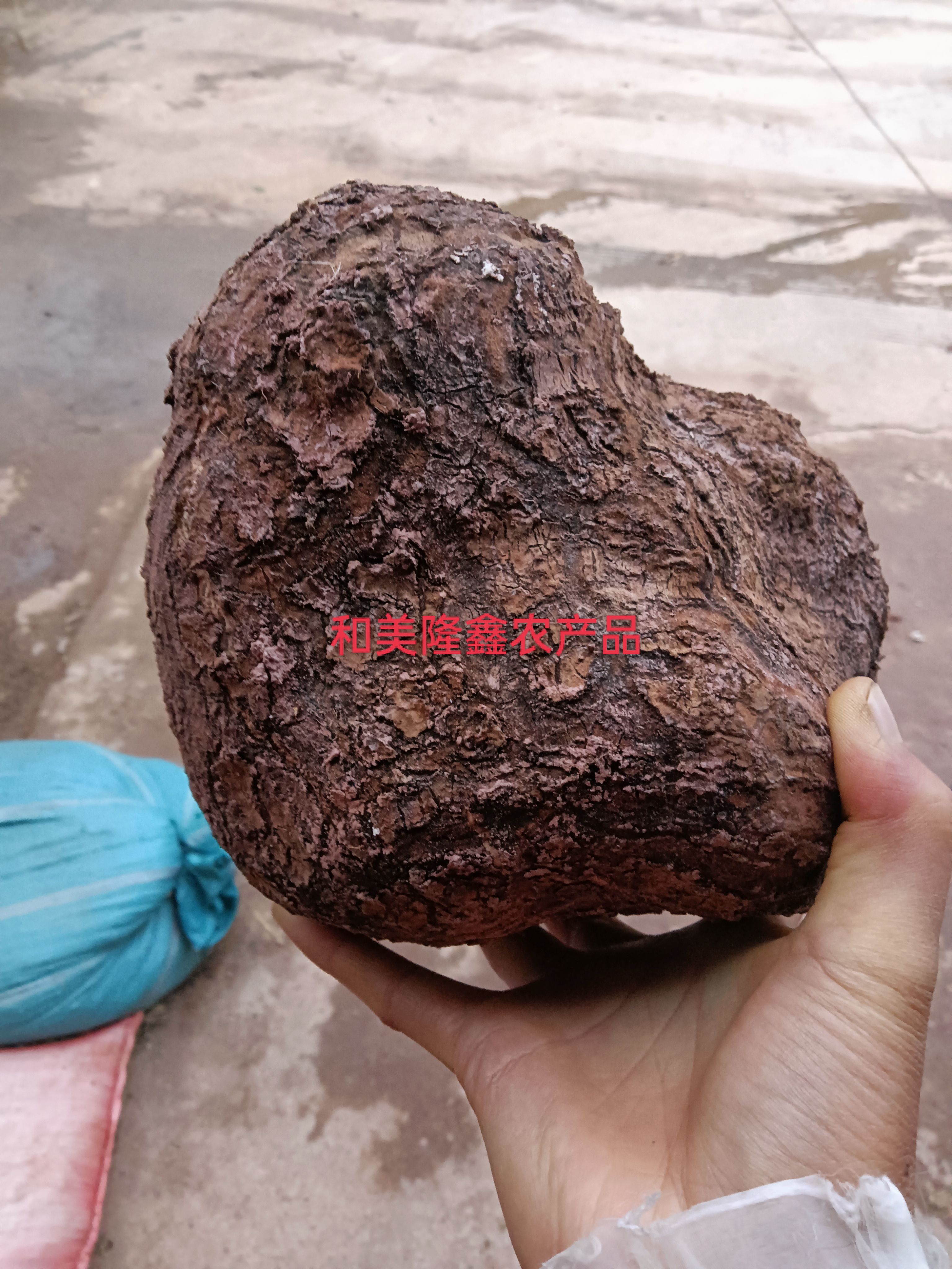 云南带皮白茯苓干货，无硫磺支持无硫检测欢迎广大客户下单