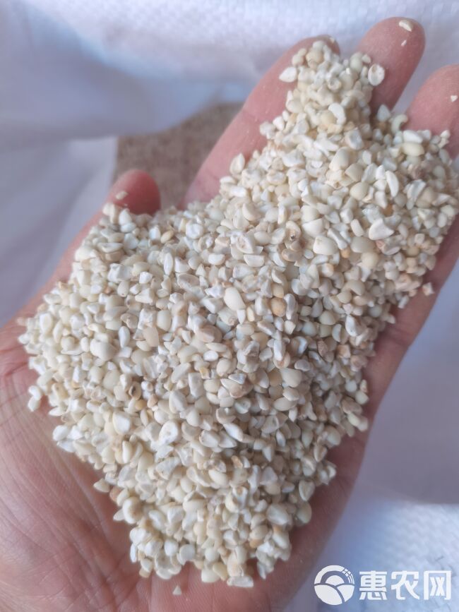 薏米仁 贵州新货大小颗粒薏米仁  各种香辛料中药材批发