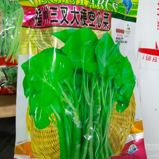 西安空心菜种子  福州三叉空心菜种子