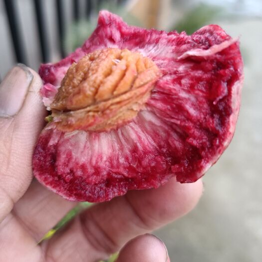 桐柏县朱砂红血桃