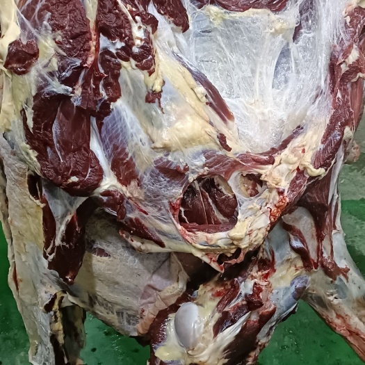 青海牦牛肉，天祝白牦牛肉