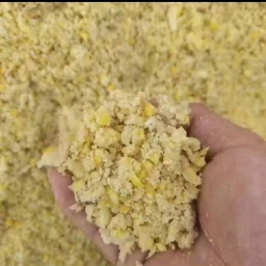 石家庄熟化玉米