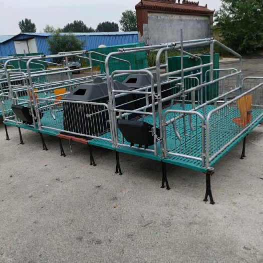 泊头市母猪产床双体产床型号