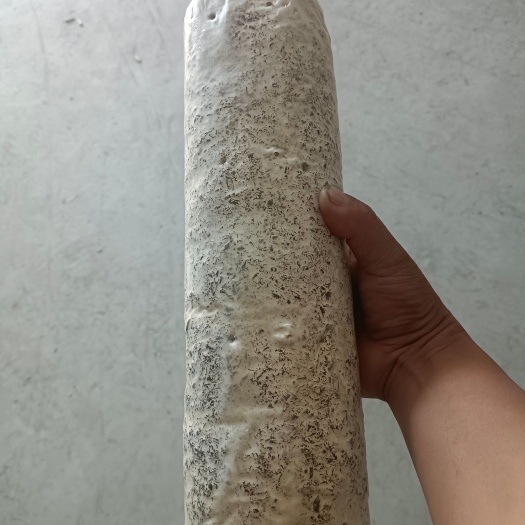 金耳菌种菌包，西峡县科达菌业有限公司