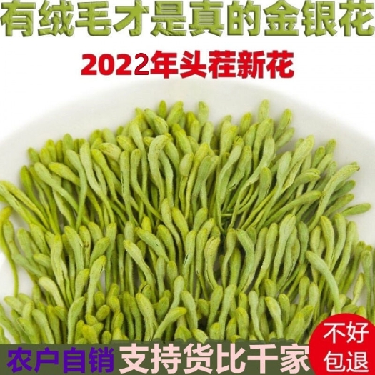 商洛大秦岭深处正品金银花，天然手工采摘