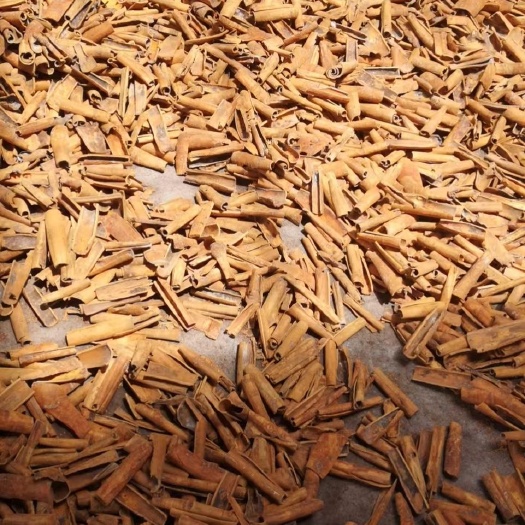 防城港（肉桂又称玉桂）本批次新鲜晒干
