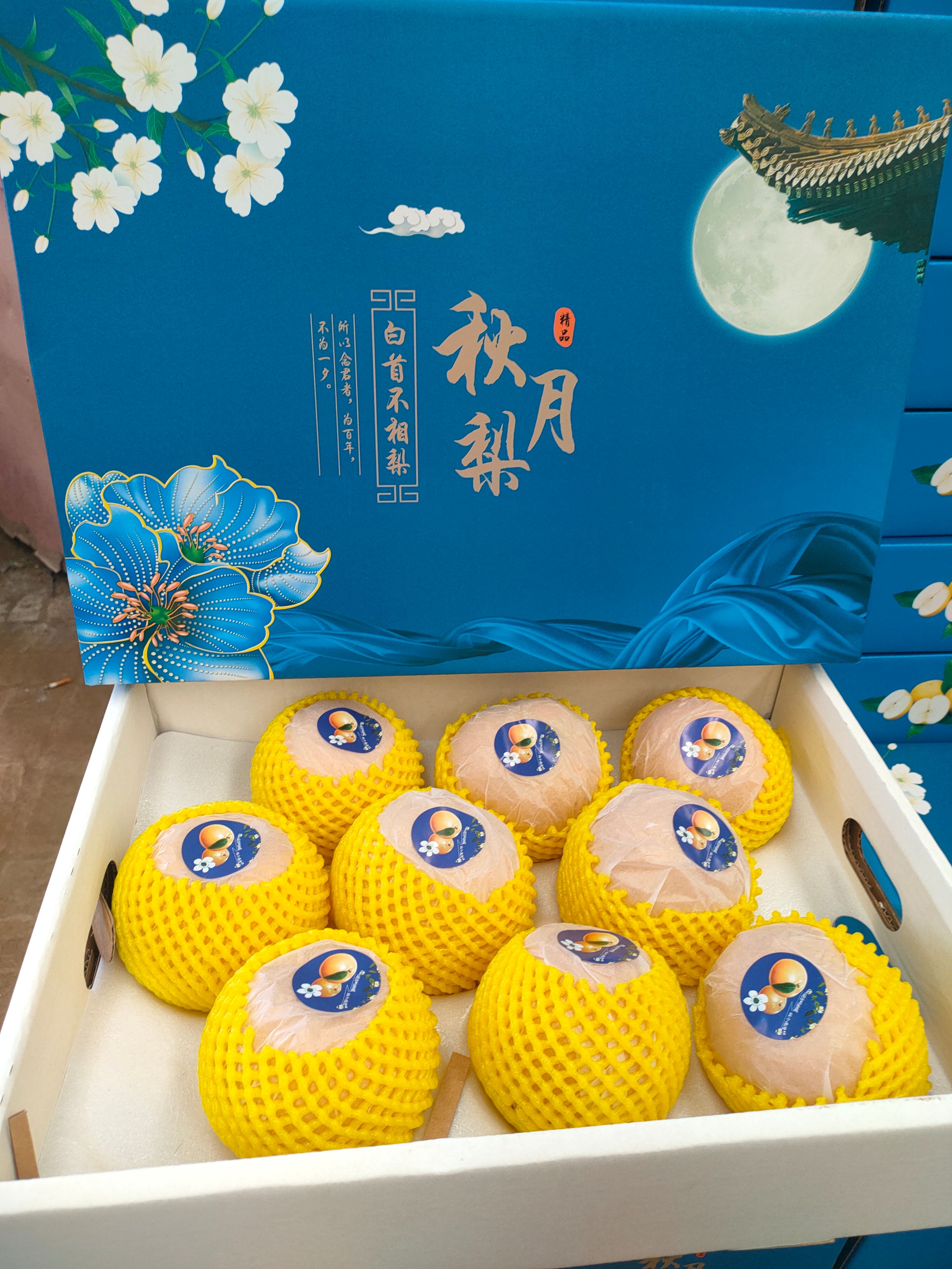 赵县河北秋月梨，大量上市，果面干净，糖分高，皮薄汁多。