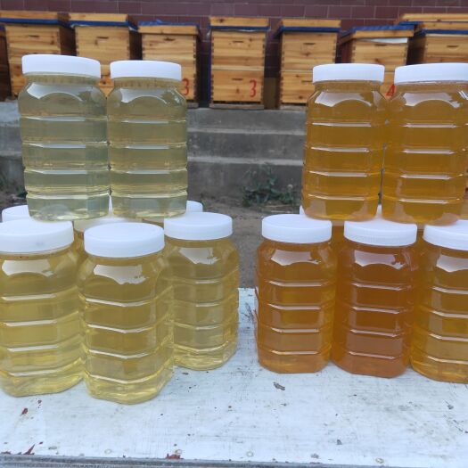 沂水县自家蜂蜜，山东沂蒙，还有一点槐花蜜杂血参蜜，过几天大量荆条蜜