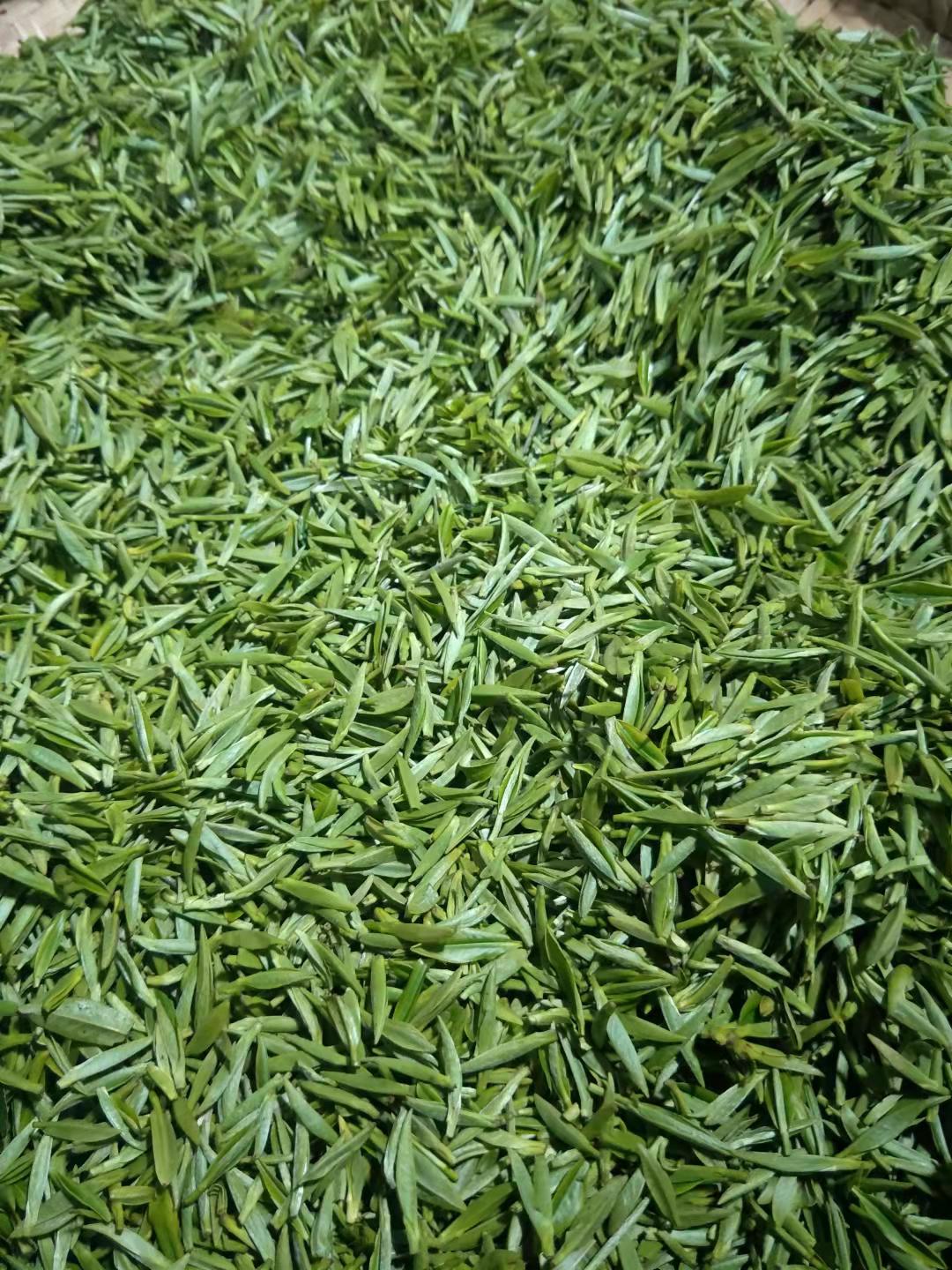 元頂云霧茶業(yè)