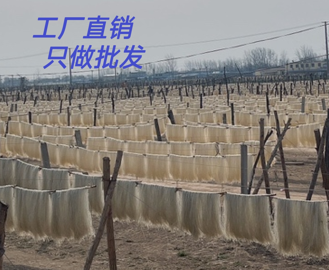 五彩云霞工廠店