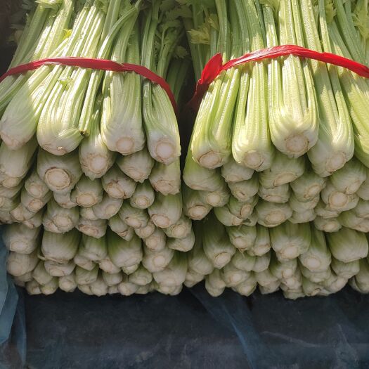 精品芹菜，山西大同叶菜基地，大量出售，全国各地发