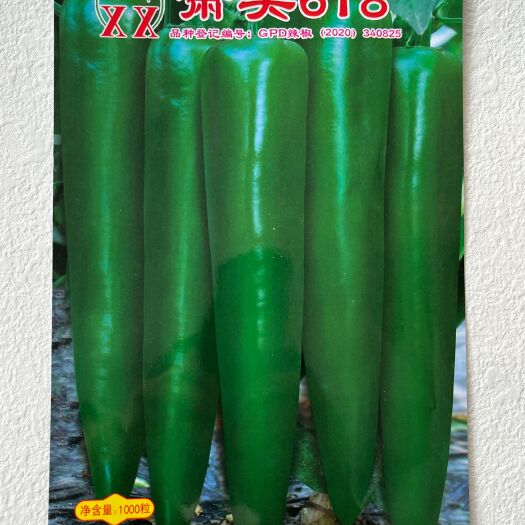 沭阳县萧美618辣椒种子高产粗长羊角辣椒肉厚青皮高产耐运输审定品种