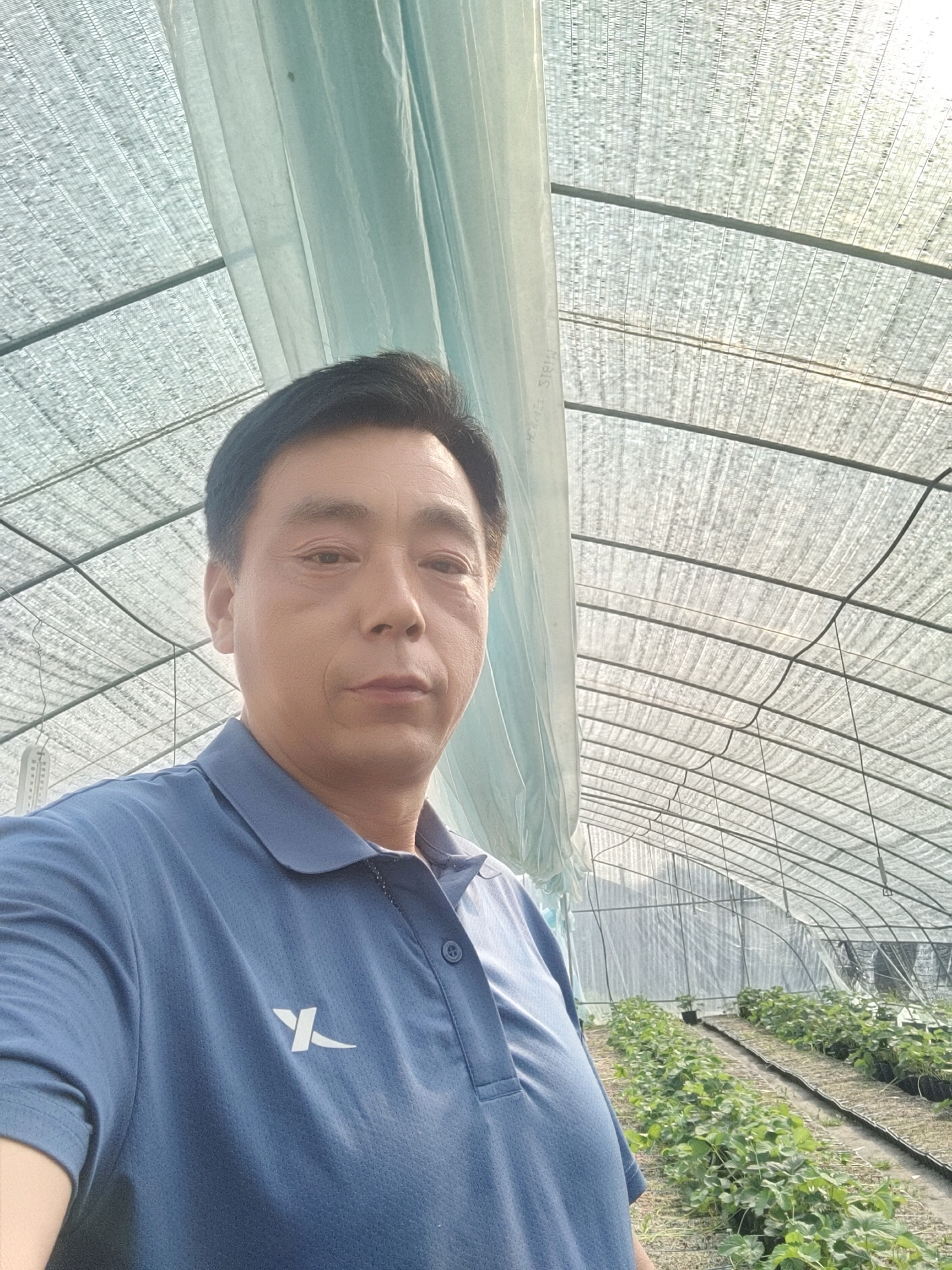 平邑縣多澤苗木