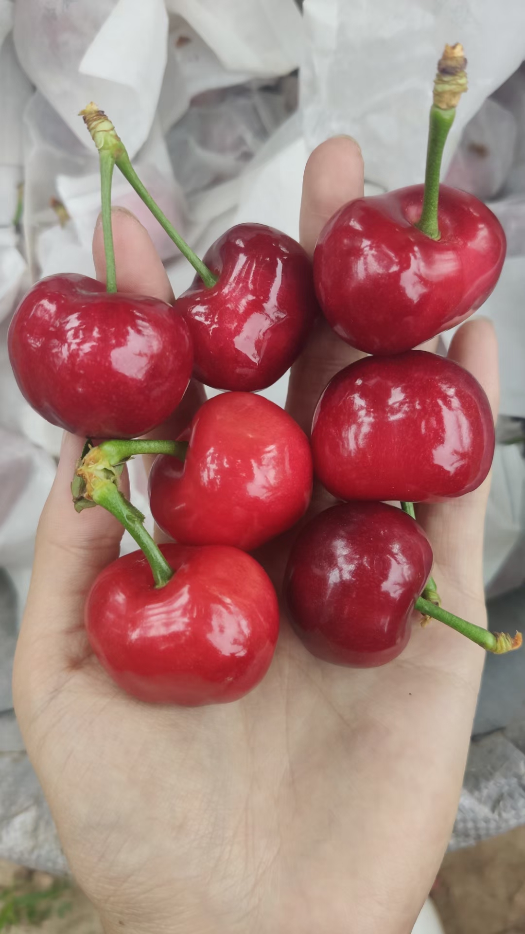 裴建軍的農(nóng)貨店