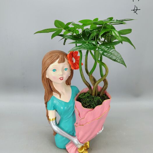发财树造型盆景瓷盆