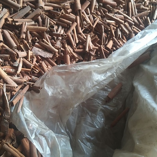 东兴市桂皮源头直批