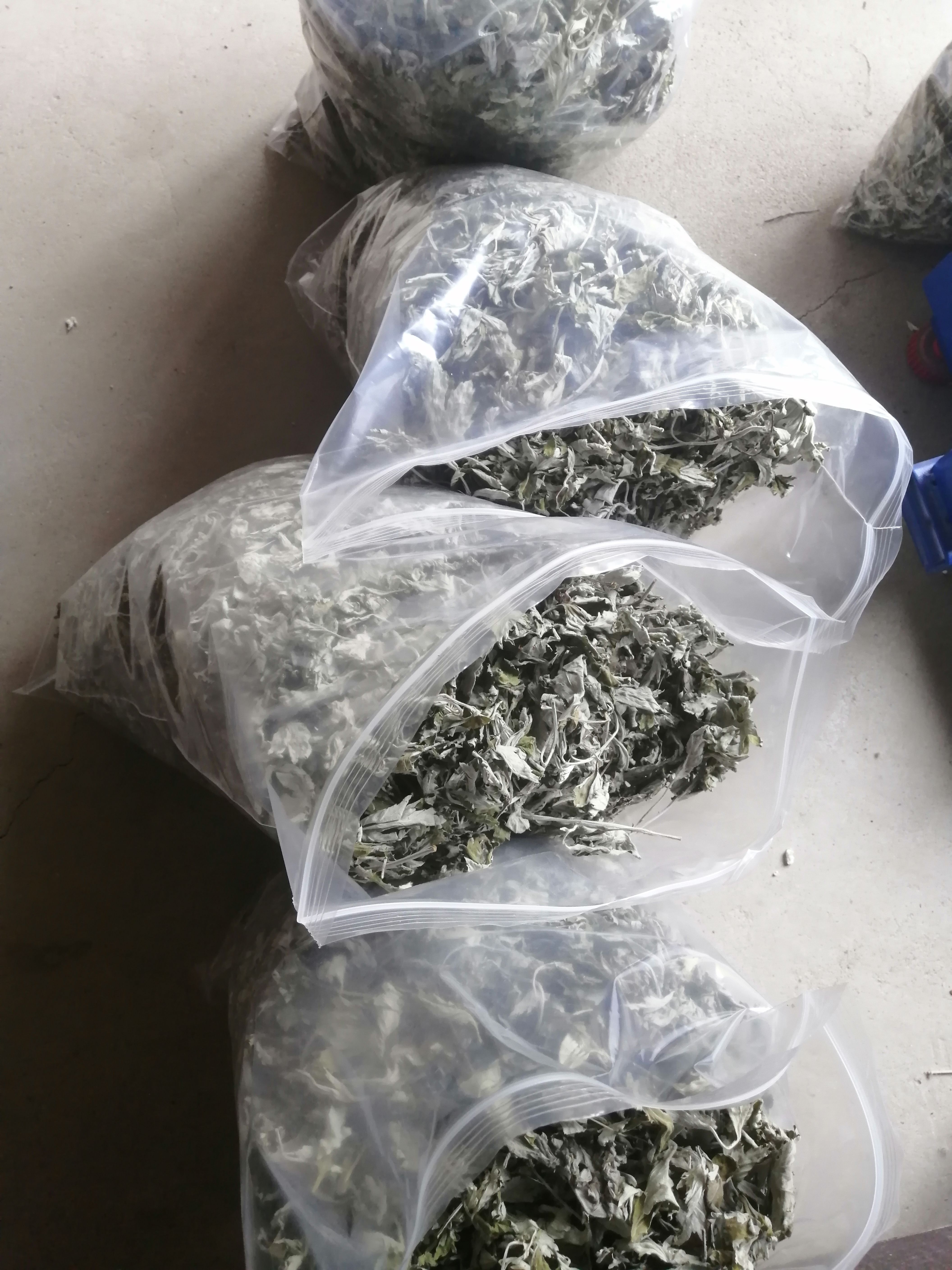 艾叶艾草南阳艾叶端午节头茬晒干艾叶手选无杂高品质