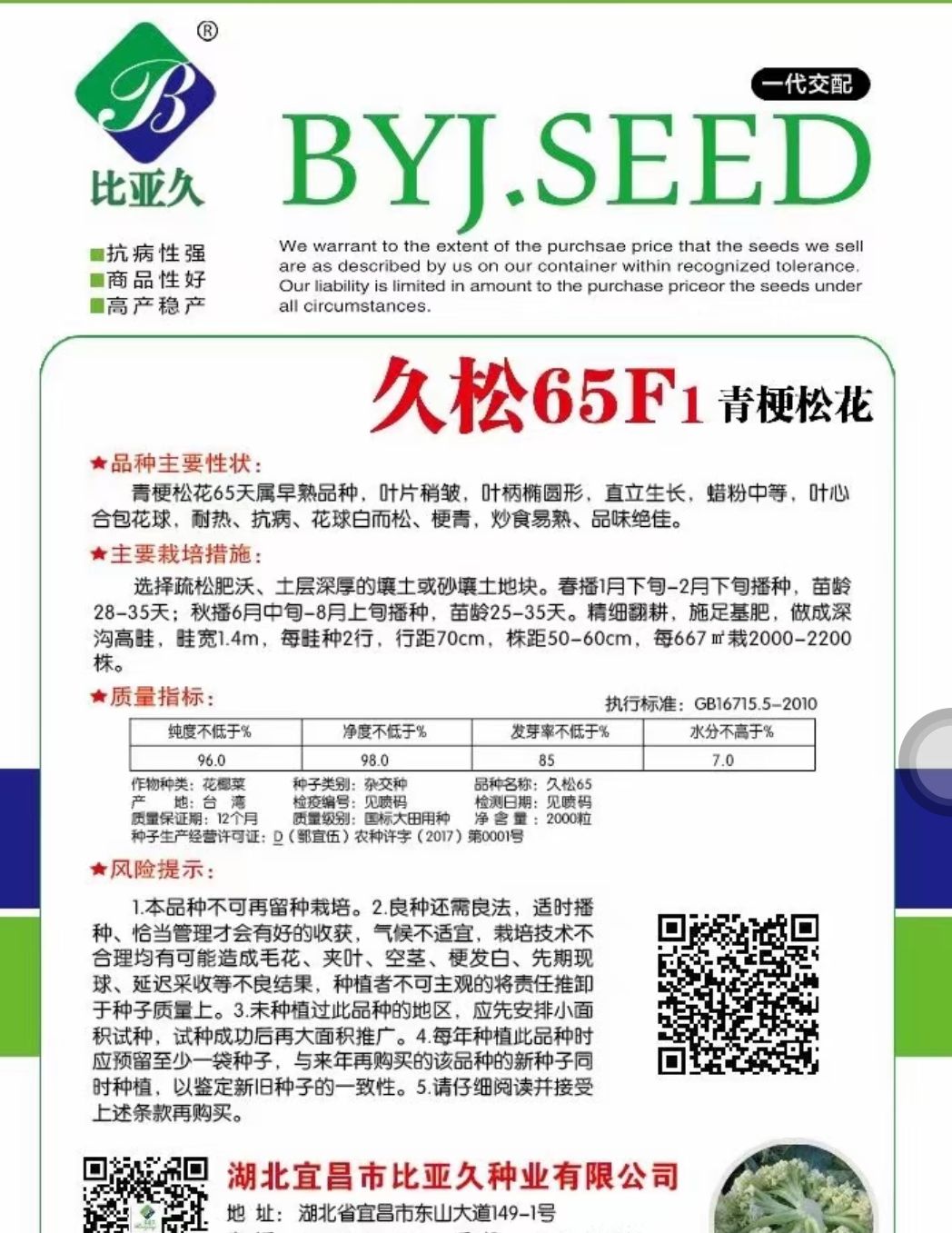 久松65F1青梗松花菜花种子抗病高产商品性强囗感好台弯品种