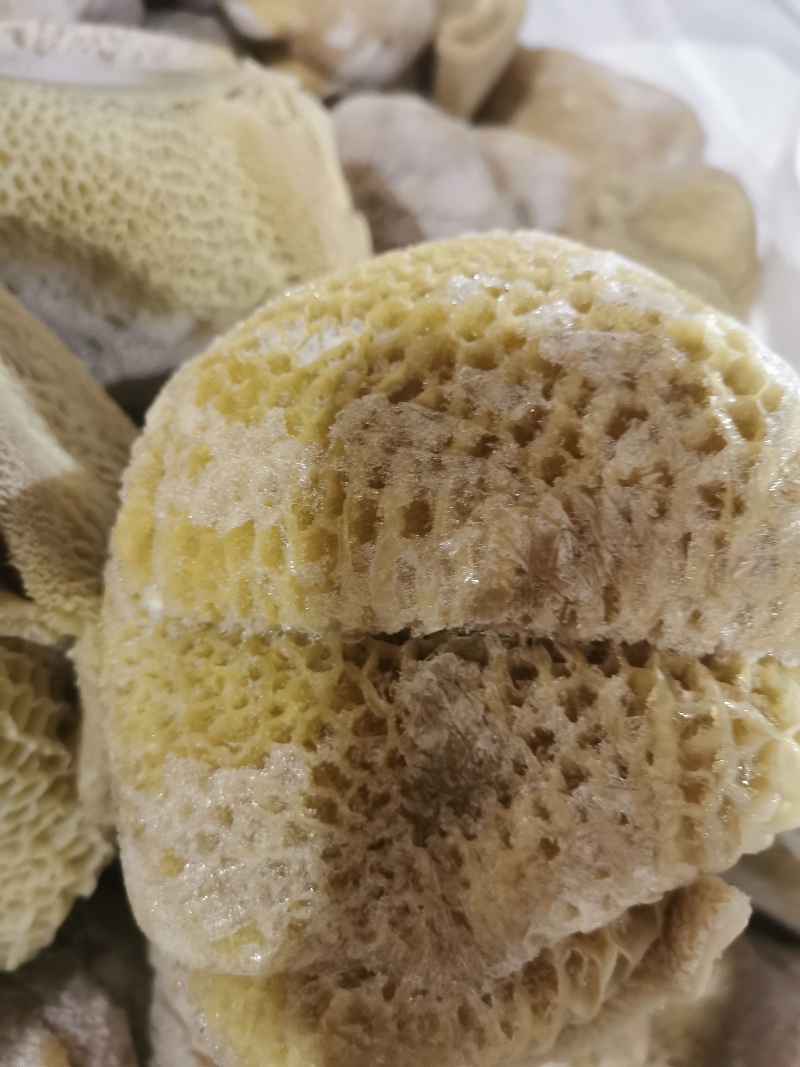 金钱肚