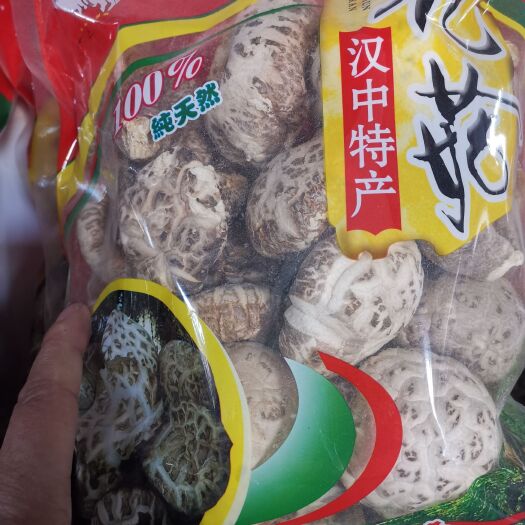宁强县汉中大花菇