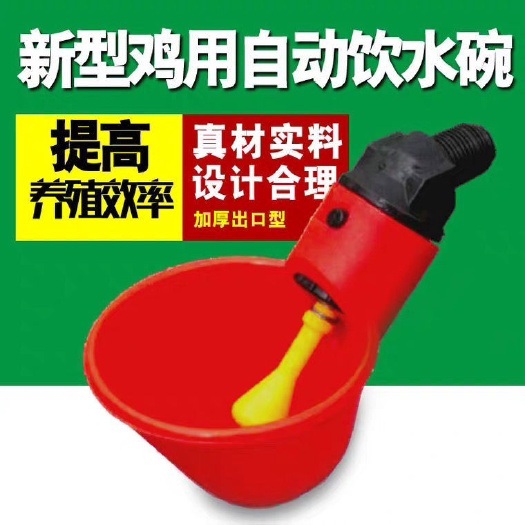 饮水碗鸽子鸡用自动半圆饮水碗