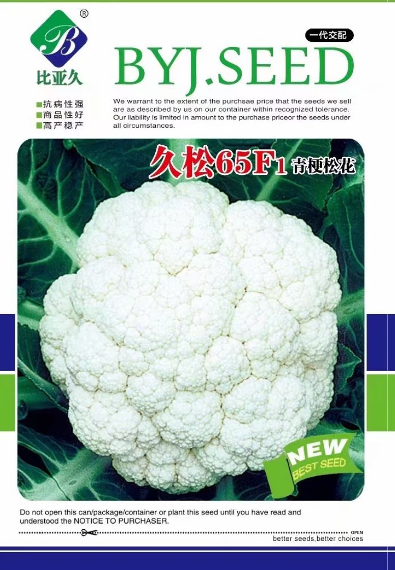 久松65F1青梗松花菜花种子抗病高产商品性强囗感好台弯品种