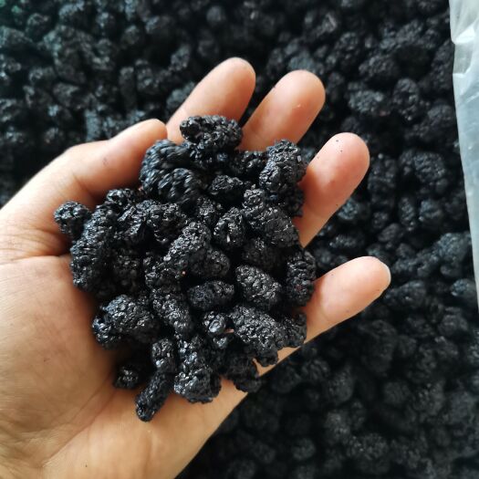 德昌县桑葚干  精品黑桑果干优质新鲜桑椹炮制泡茶泡酒民间圣果