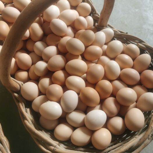 桂林散养粉壳绿壳土鸡蛋草鸡蛋，可喷码代工，富硒无抗，直销量大从优